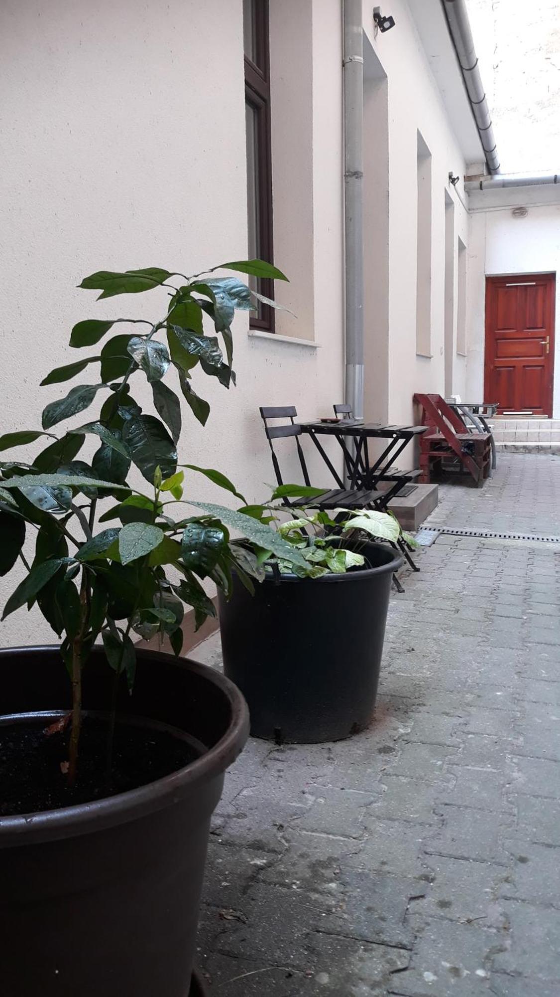 M&M Apartment Budapest House Eksteriør billede